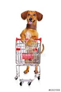 Dog with grocery cart